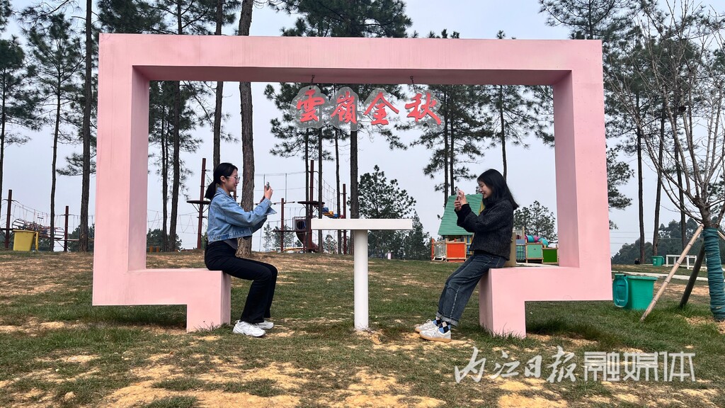 内自同城 | 鲜花怒放，资中云岭金秋景区千亩花海等你去乐享春光-13.jpg