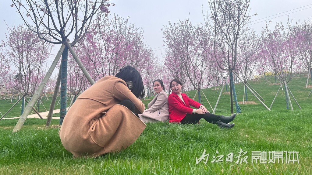 内自同城 | 鲜花怒放，资中云岭金秋景区千亩花海等你去乐享春光-12.jpg