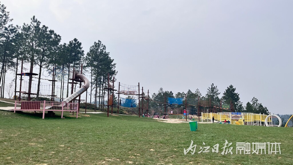 内自同城 | 鲜花怒放，资中云岭金秋景区千亩花海等你去乐享春光-17.jpg