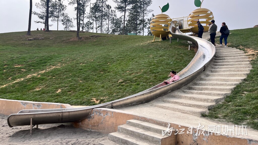 内自同城 | 鲜花怒放，资中云岭金秋景区千亩花海等你去乐享春光-19.jpg