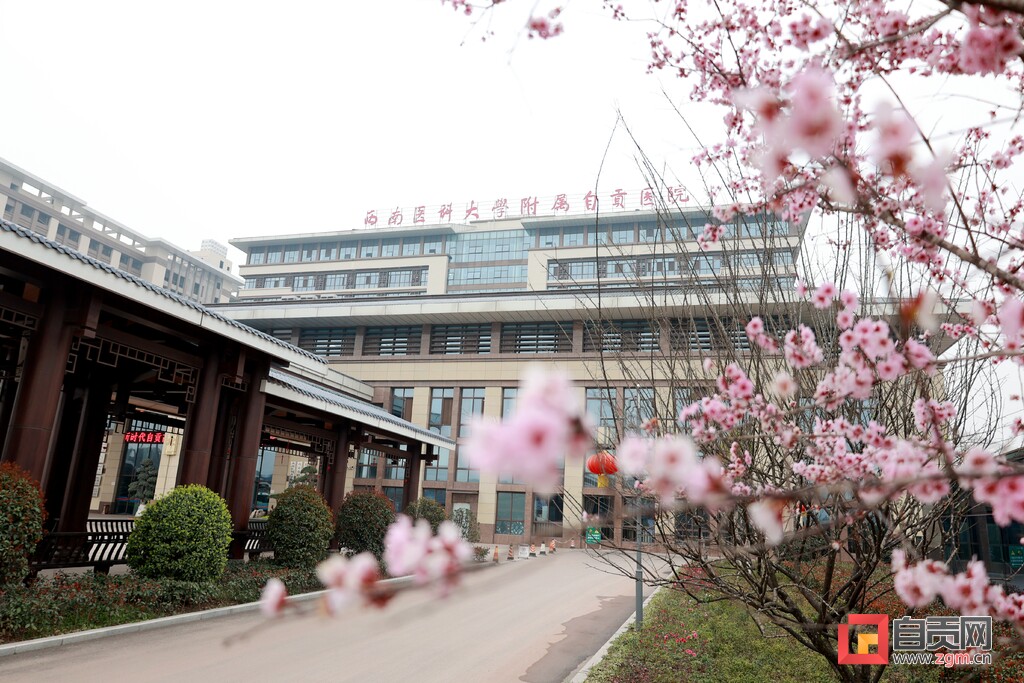自贡市老年病医院荣获省级建设工程质量大奖-1.jpg