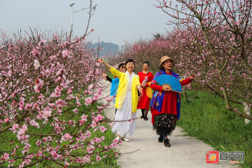 赴一场与春天的约会——2023年沿滩区春季乡村旅游系列活动启动-8.jpg
