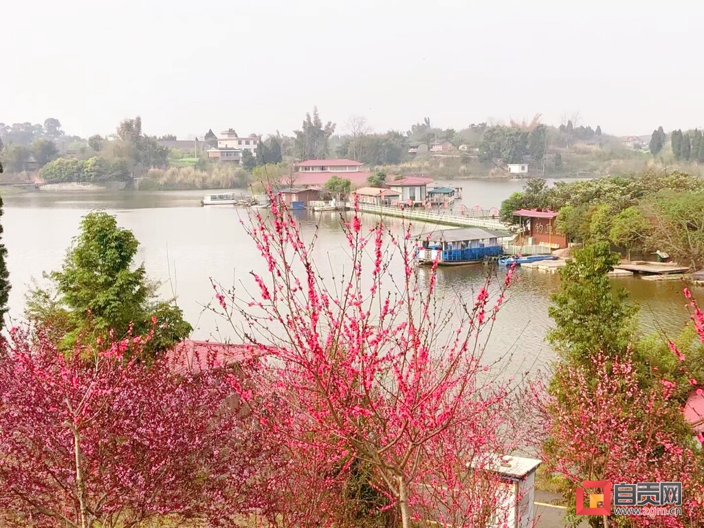 赴一场与春天的约会——2023年沿滩区春季乡村旅游系列活动启动-9.jpg