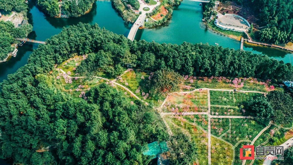 “植”此青绿 春满盐都——自贡市植绿护绿工作综述-5.jpg
