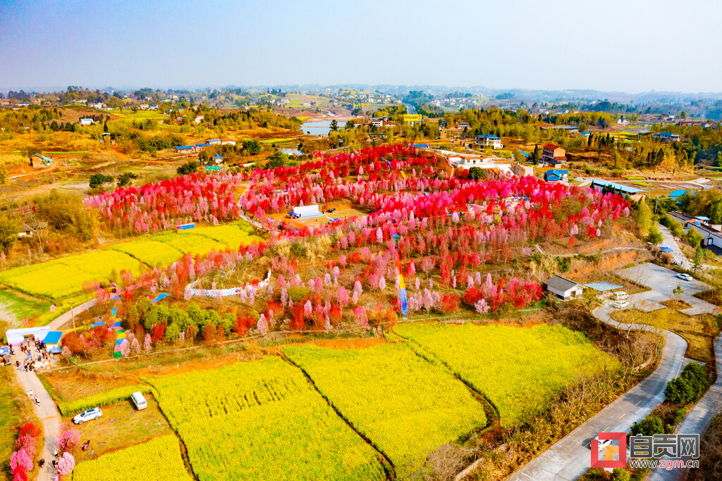 图片新闻 | 姹紫嫣红千山景 春回盐都百态新-2.jpg