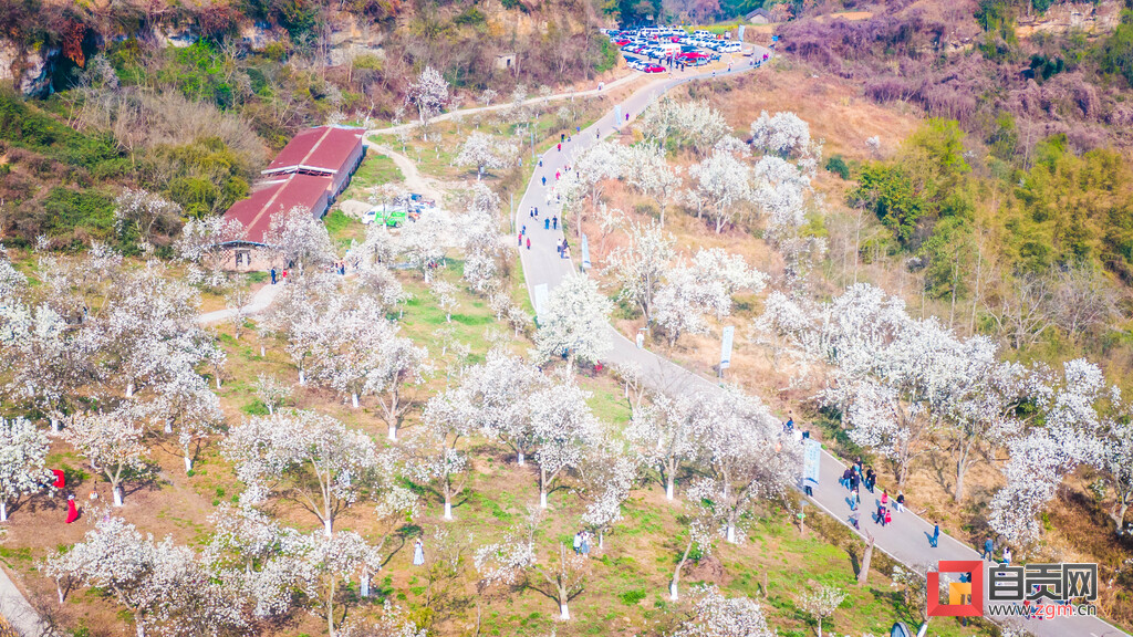 图片新闻 | 姹紫嫣红千山景 春回盐都百态新-10.jpg