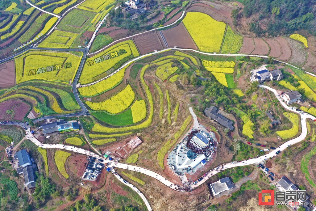 万亩花海迎客来！富顺县童寺镇首届七彩油菜乡村文化旅游节开幕-2.jpg