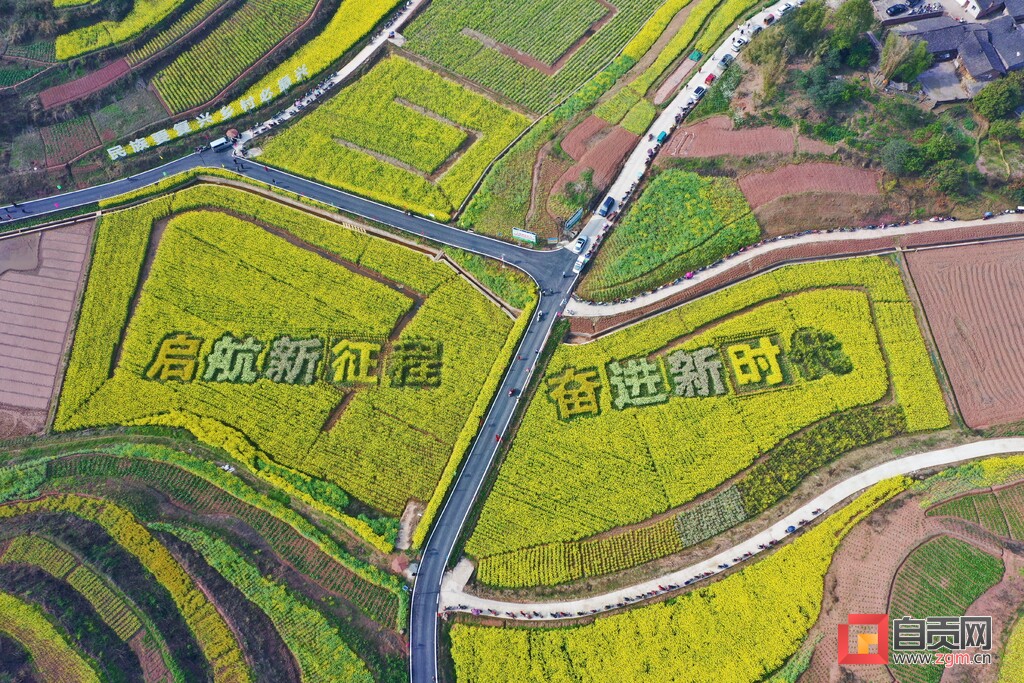万亩花海迎客来！富顺县童寺镇首届七彩油菜乡村文化旅游节开幕-7.jpg