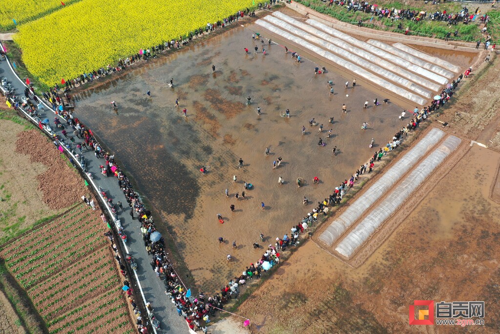 万亩花海迎客来！富顺县童寺镇首届七彩油菜乡村文化旅游节开幕-4.jpg