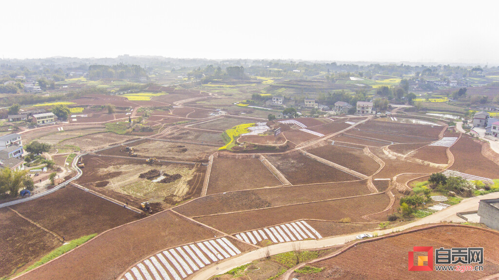 沿滩区瓦市镇“精耕细作”：田成方 地成块 路相连 渠相通-3.jpg