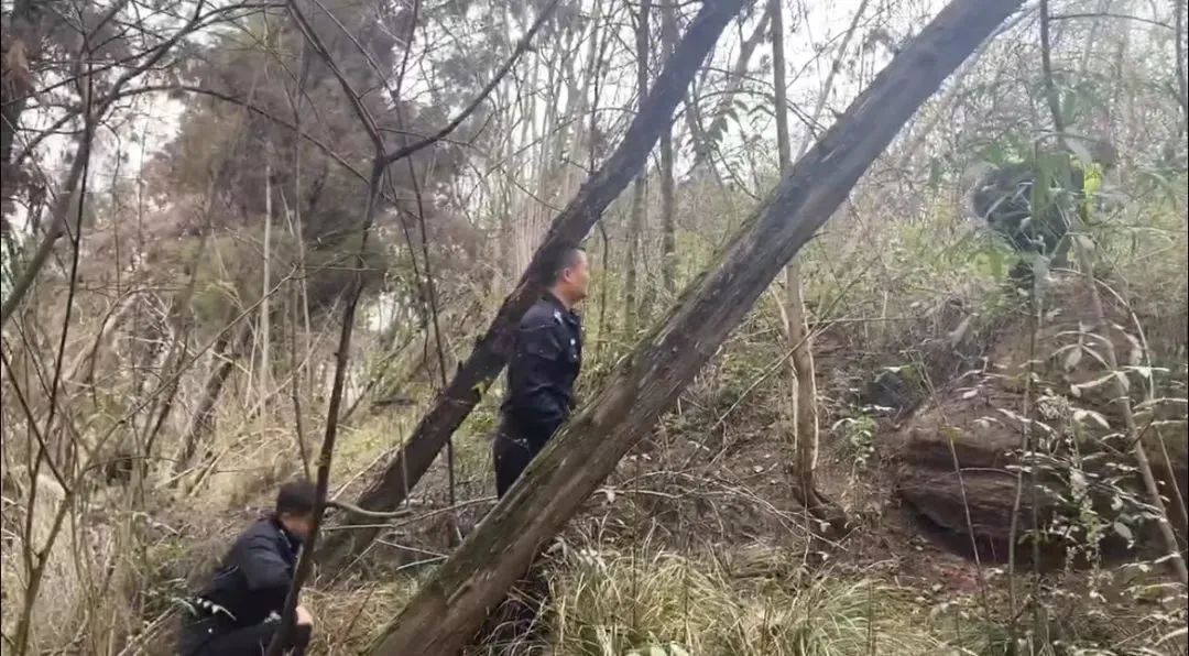 事发富顺！八旬老人走失山林，警民12小时昼夜找寻......-2.jpg