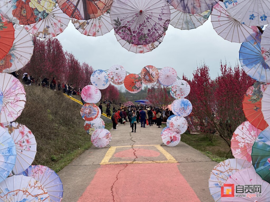 第八届美丽富顺·寻找醉美乡村暨板桥镇第五届千秋十里桃花文化旅游活动开幕-1.jpg