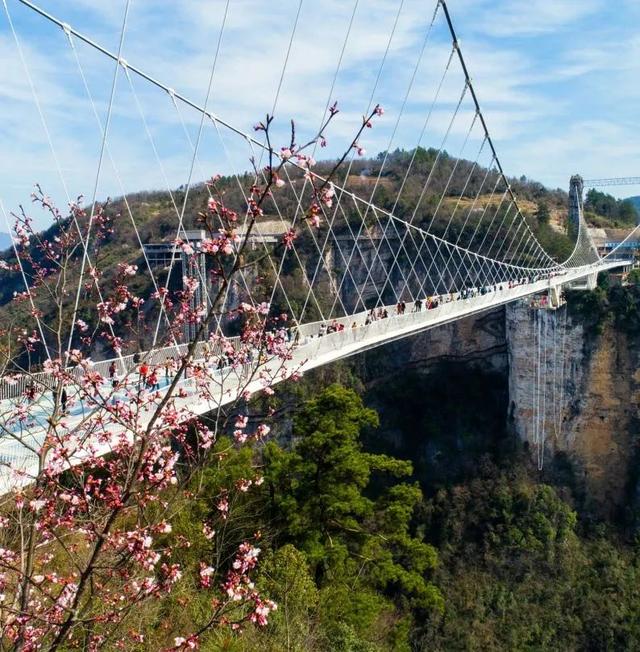 张家界大峡谷正在在免门票！-2.jpg