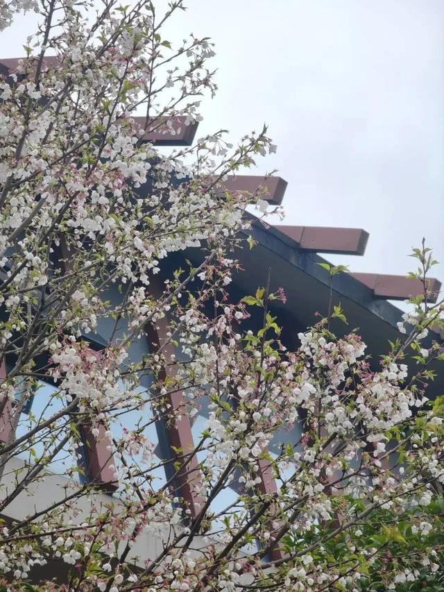 张家界大峡谷正在在免门票！-3.jpg