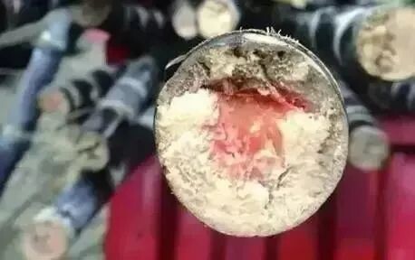 “甜蜜”的危险！清明前后，吃这个食物要谨慎-1.jpg