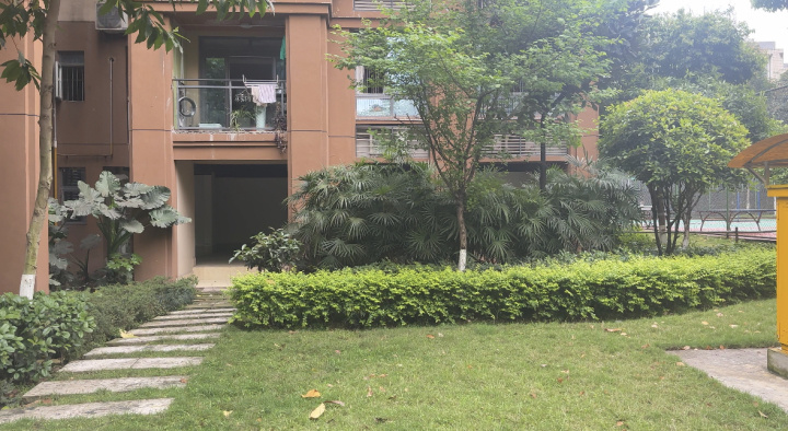 重庆姐弟坠亡案二审仍在进行中，有市民在高院门口“蹲”判决-3.jpg