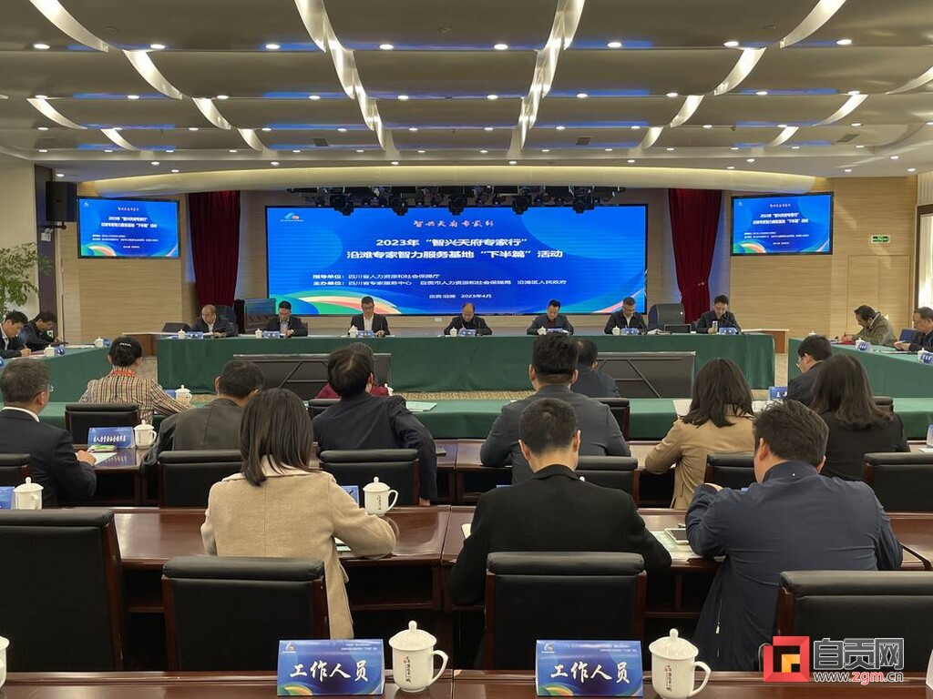 15名省内专家为沿滩经济社会发展“把脉问诊”-1.jpg