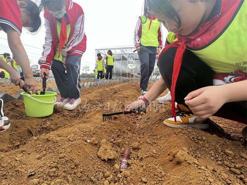 内自同城 | 打造“中国甜食之都”！内江“甜味+”产业链激活“甜基因”-5.jpg