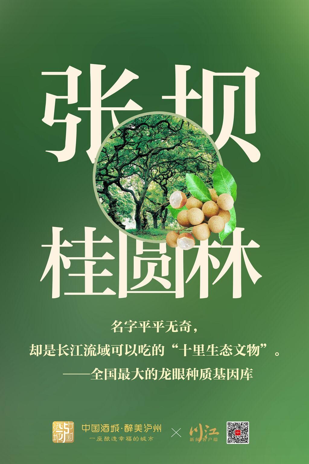 泸州，为什么举杯世界-3.jpeg
