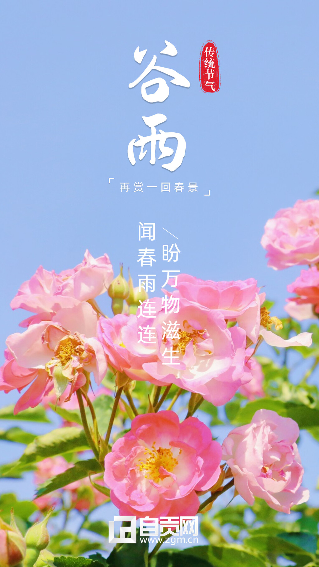 海报 | 谷雨时节 浸润万物 淋漓尽致-1.jpg