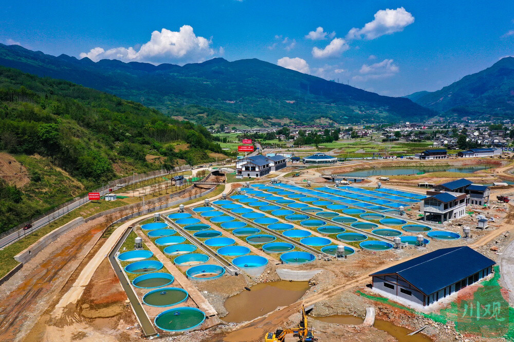 “4·20”芦山强烈地震十周年特别报道丨家园更美，产业更旺，媒体采风团感受芦山发展变-4.jpg