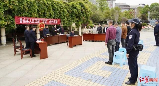 贵州“古楠木王”被盗割，官方：已装摄像头，安排专人看护-1.jpg