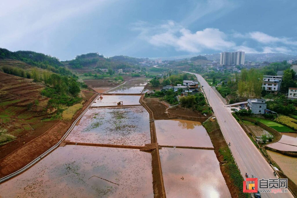 富顺县童寺镇：高标准农田建设忙 绘就农业好“丰”景-2.jpg