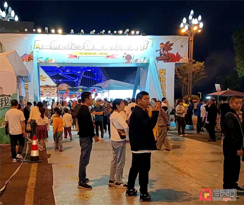 自贡打造夜经济新场景 毛家坝大桥再成“网红”-5.jpg