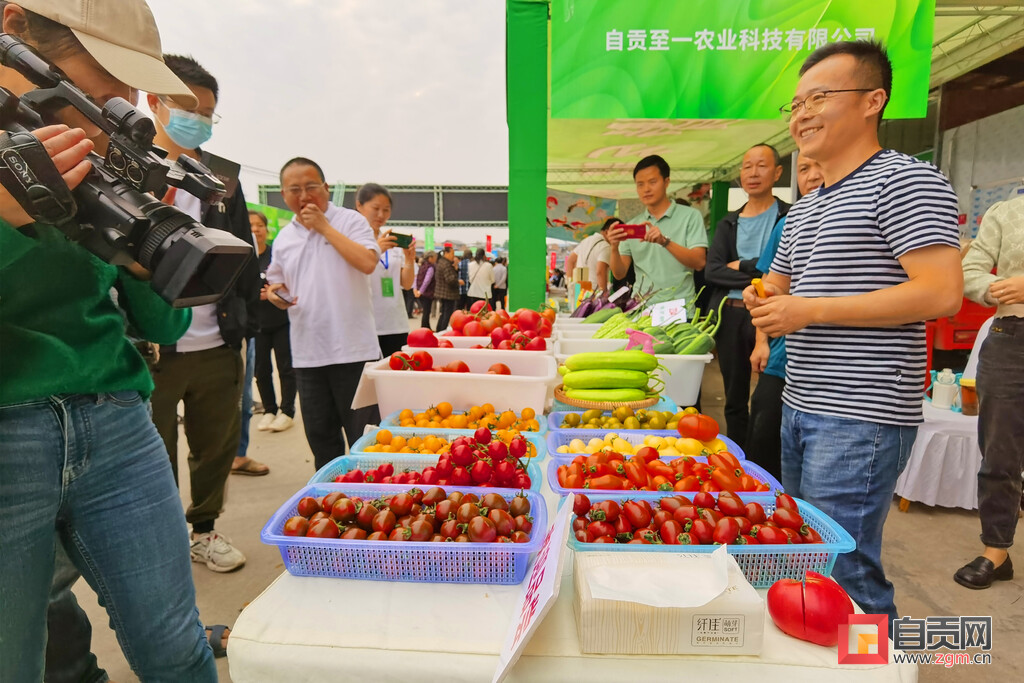 瓜果飘香趣味浓 “五一”假期自贡乡村旅游“乐翻天”-11.jpg