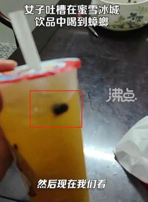 广东一女子称在蜜雪冰城中喝到大蟑螂！-1.jpg