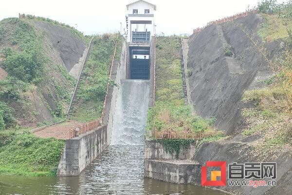 富顺县：水库开闸助春灌 万亩良田“喝饱水”-1.jpg