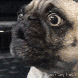 705096b53457a6feff00bff4b808a0ac.gif