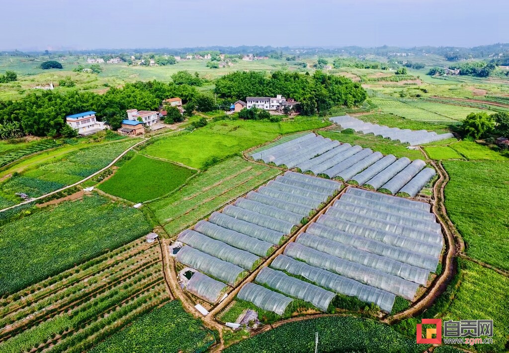 自贡沿滩·九洪西瓜节6月3日正式启幕 甜蜜盛宴邀你一起瓜分快乐-5.jpg