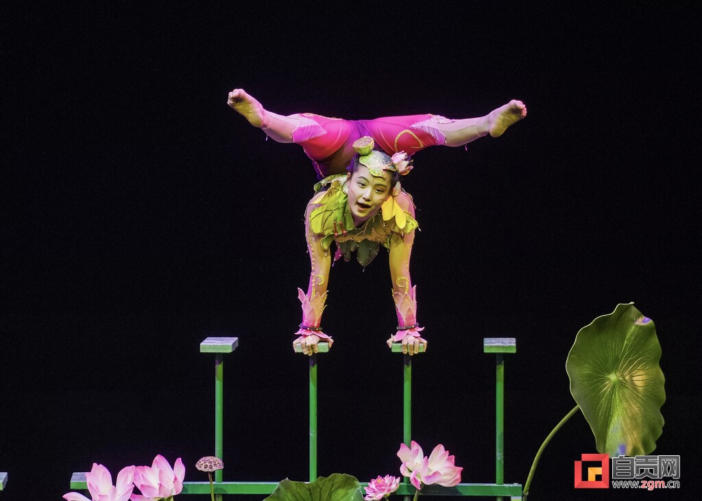 自贡杂技小花“倒立”于世界之巅-2.jpg