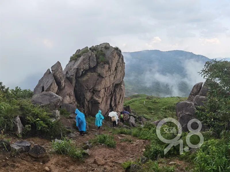 一旅游团10多人遭雷击，多人受伤！如何科学防范雷击？-2.jpg