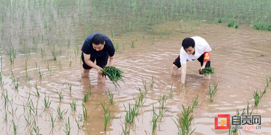 富顺县怀德镇：志愿服务到田间 助农帮困暖人心-3.jpg