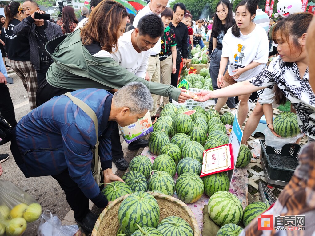 “吃瓜群众”有口福了，九洪西瓜即将全面上市-5.jpg