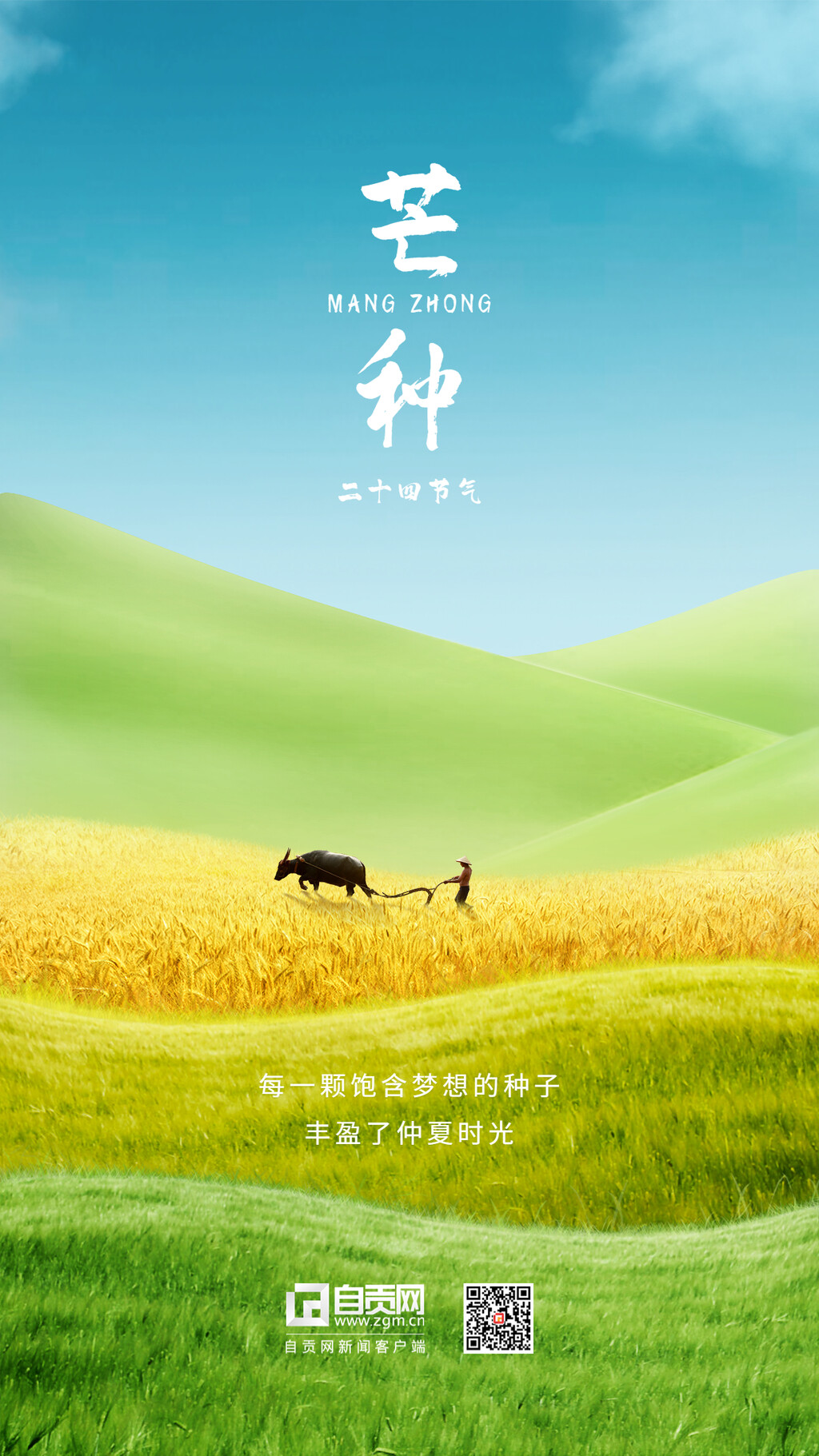 海报 | 今日芒种，愿你每一分耕耘皆有收获！-1.jpg