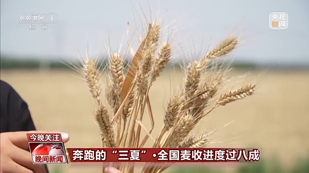进度条超80%！全国麦收面积达2.53亿亩-5.jpg