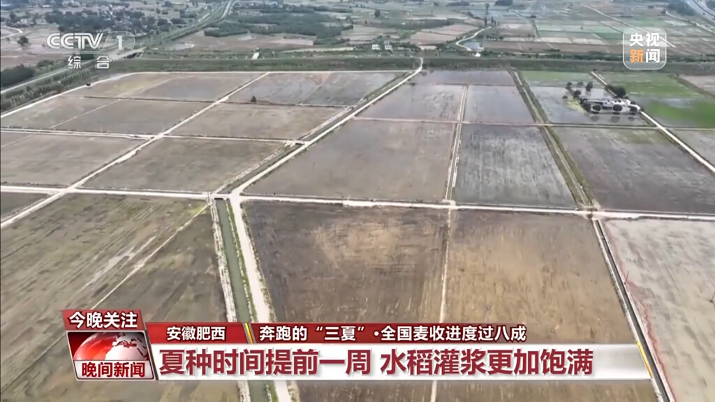 进度条超80%！全国麦收面积达2.53亿亩-6.jpg