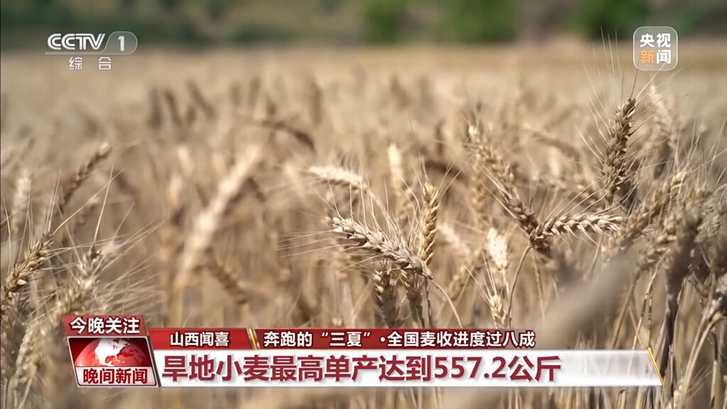 进度条超80%！全国麦收面积达2.53亿亩-3.jpg