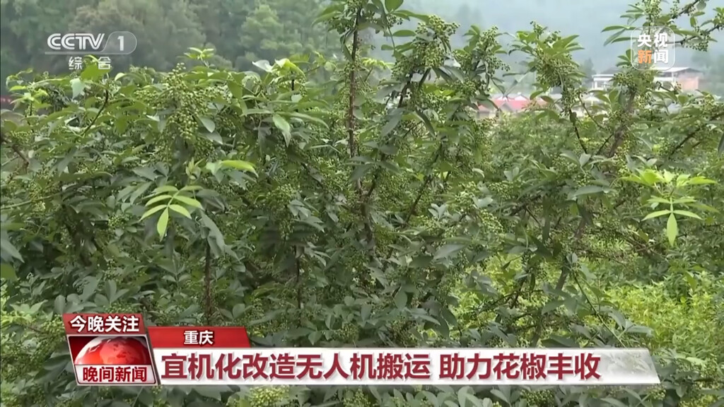 进度条超80%！全国麦收面积达2.53亿亩-9.jpg