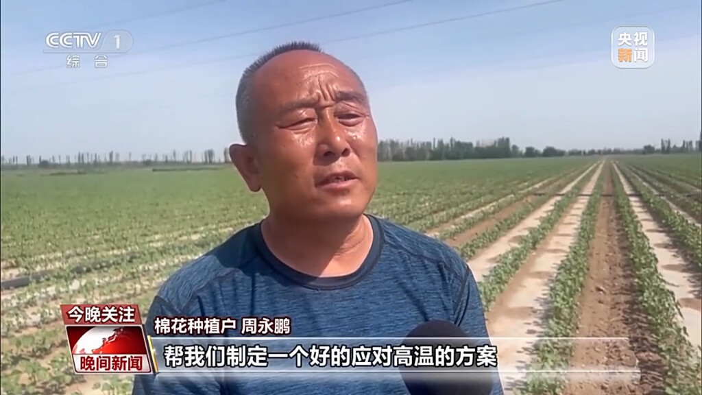 进度条超80%！全国麦收面积达2.53亿亩-8.jpg