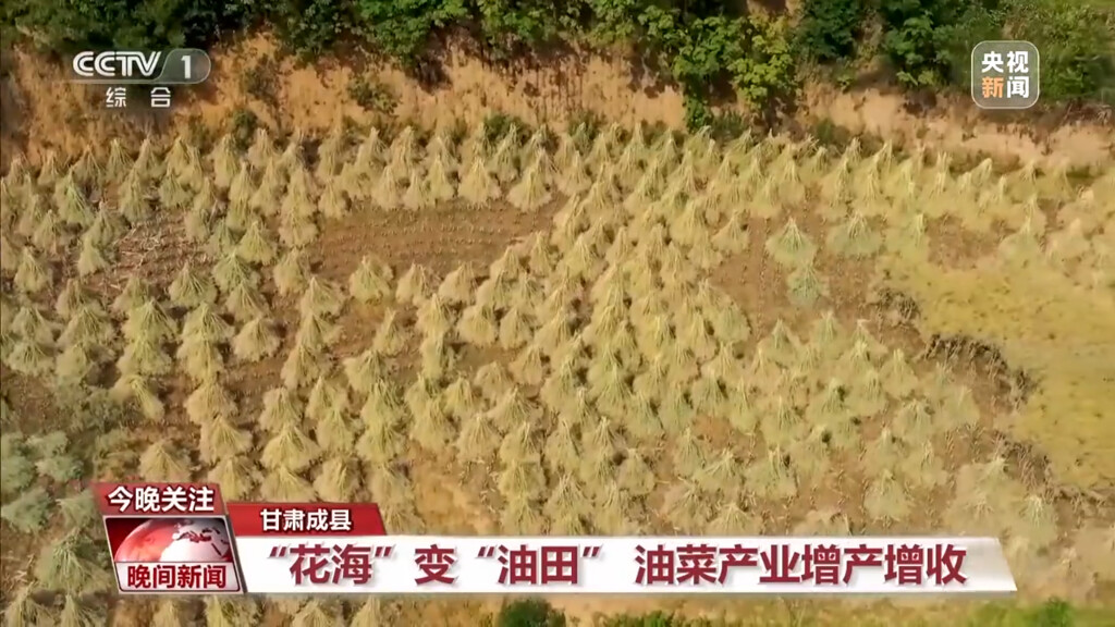 进度条超80%！全国麦收面积达2.53亿亩-11.jpg