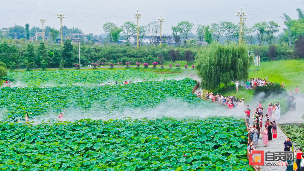 自贡西城第六届荷花文化旅游活动启动-2.jpg