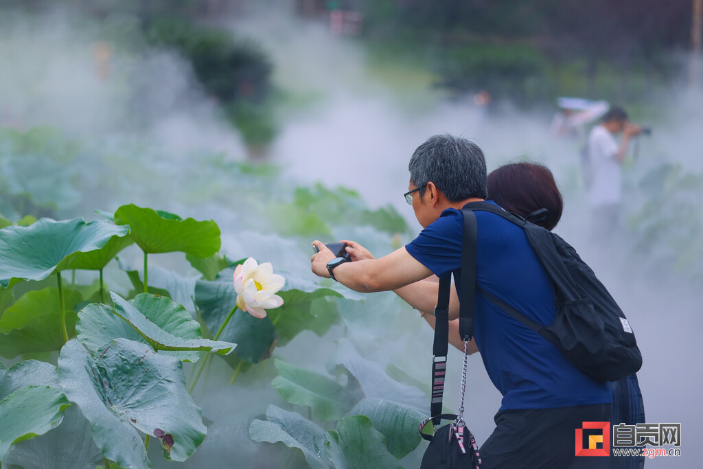 自贡西城第六届荷花文化旅游活动启动-7.jpg