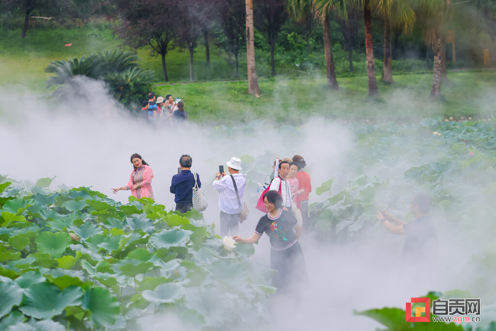 自贡西城第六届荷花文化旅游活动启动-4.jpg