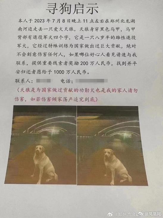 郑州狗主人悬赏 1000 万人民币寻狗：为国家做过巨大贡献-2.jpg