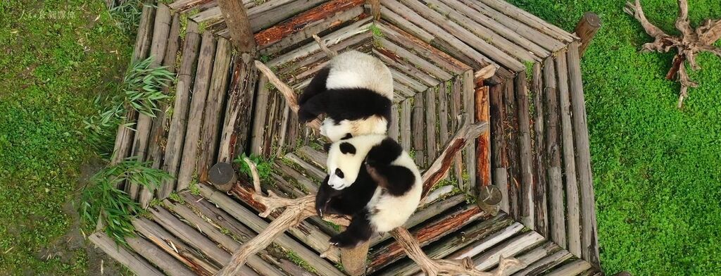 青春主场！成都大运会双语先导片→-1.jpg