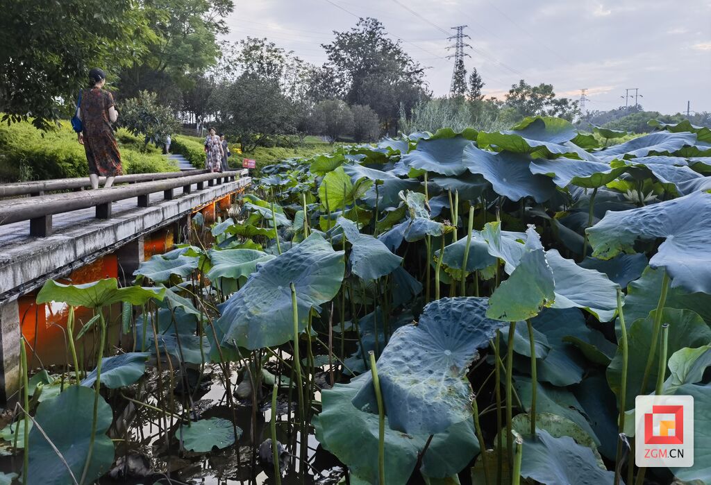 暑期风光正好 莫让不文明行为煞风景-1.jpg